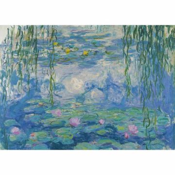 PUZZLE 1000pz Ravensburger Monet: Waterlilies | Puzzle Arte